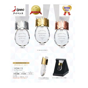 メダル 豪華オーダークリスタル10cmメダル vom-15 豪華スタンドケース付き 文字無料 優勝メダル 退職記念 表彰 卒団  卒業
