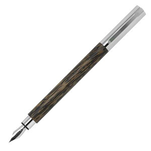 万年筆 ファーバーカステル(Faber Castell) アンビション 椰子の木:ココスウッド