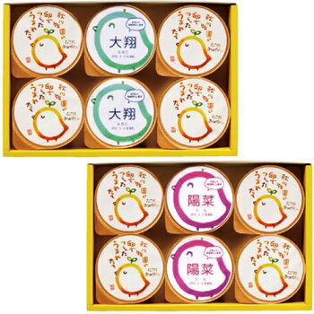 名入れプリン&静岡天竜茶煎茶セット写真入りメッセージカード無料送料無料お菓子内祝い出産内祝い結婚内祝いお祝い飲み物お祝い返し初節句七五三スイーツギフト内祝いお礼お菓子お返し進入学入園【楽ギフ_のし】