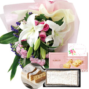 ԂƃXC[c MtgZbg   sNo ԑ  A}h Z{؃tB[ʐ^EꃁbZ[WJ[h   (SE) [] j ސEj  Ԃ  w e