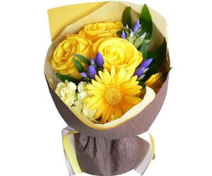 EhCG[u[P ԑ  j Mtg v[g LO  j   oY ސEj a v[g  j  蕨 Mtg bZ[WJ[