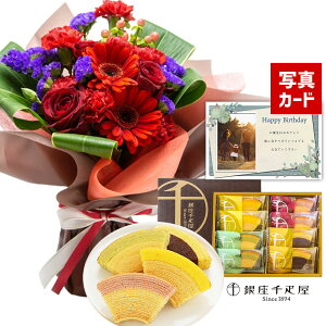 j a v[g   X^fBO u[P ԑ  & D t[eB oE َq ԂƂَq ސEj  a P v[g Mtg َq XC[c  