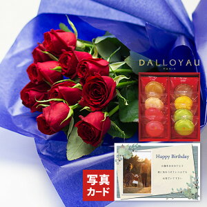 o ԑ bh  _C }J NbL[ XC[cZbg  av[g җj Ê j  ΂  e ԂƃXC[c  a َq   v[g 