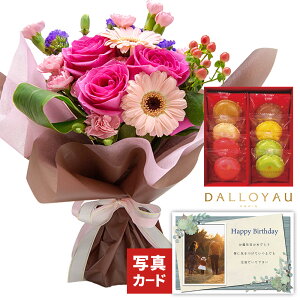 o ~bNX sN  y_C }J NbL[z  XC[cZbg  av[g җj Ê j  ΂  e ԂƃXC[c  a L