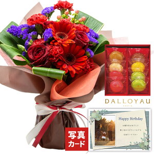 o ~bNX bh  y_C }J NbL[z  XC[cZbg  av[g җj Ê j  ΂  e ԂƃXC[c  a L