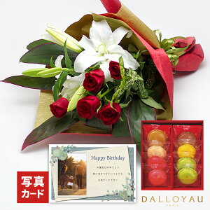  ԑ bh  _C }J NbL[  XC[cZbg  av[g җj Ê j  e ΂  e ԂƃXC[c  a LO 