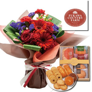 IԂƃXC[c Zbg bht[ԑmَq LՂ ZbgElߍ킹BA eAFB a v[gEjEjEEɎʐ^ bZ[W J[