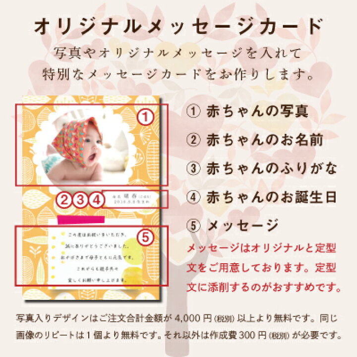 白子のり 磯じまん のり 佃煮詰合せ 本州送料無料 初節句 結婚祝 お返し のし 日持ち 詰め合わせ 限定 家族 親 兄弟 お取り寄せ 欲しいもの 喜ばれるもの 人気ランキング 40代 50代 60代 70代 Sd 軽 ギフトセット ギフト 内祝いのアイプレゼンツ
