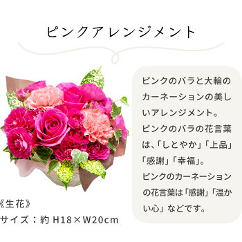 楽天市場 母の日 プレゼント ギフト 花 ピンク 豪華 バラと 大輪 カーネーション アレンジ ユーハイム 洋菓子 花とスイーツセット スイーツ お菓子 母の日ギフト 高級 21 早割 人気 おしゃれ ランキング 義母 母親 60代 70代 80代 実用的 Gift Present Mother S