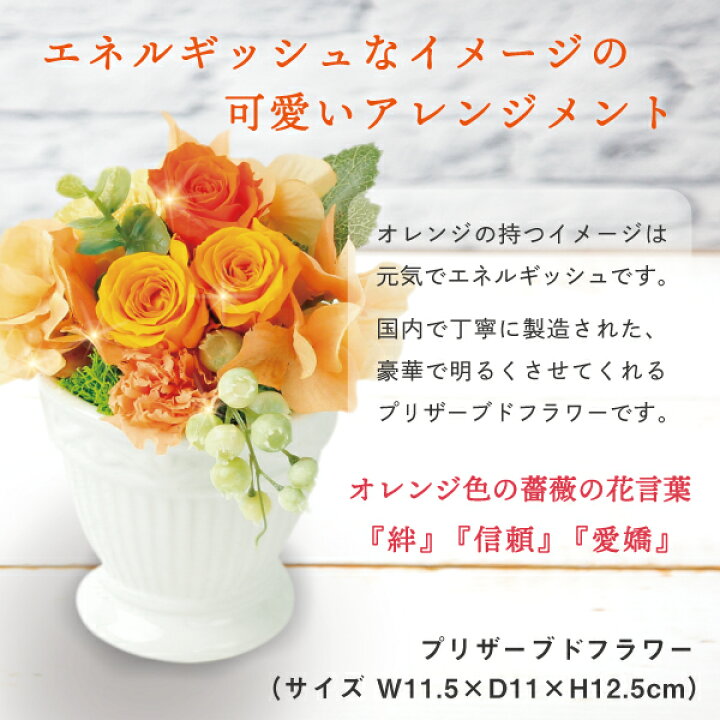 楽天市場 あす楽 誕生日 花 プリザーブドフラワー エレガント アレンジ オレンジ と 和菓子 カステラ クッキー 詰合せ ギフト セット プレゼント お祝い 退職祝い 結婚祝い 人気 母 女性 50代 60代 70代 Db 結婚 結婚祝 花とお菓子 スイーツセット 5000円 翌日お 楽天市場 あす楽 誕生日 花 プリザーブドフラワー エレガント アレンジ オレンジ と 和菓子 カステラ クッキー 詰合せ ギフト セット プレゼント お祝い 退職祝い 結婚祝い 人気 母 女性 50代 60代 70代 Db 結婚 結婚祝 花とお菓子 スイーツセット 5000円 翌日お
