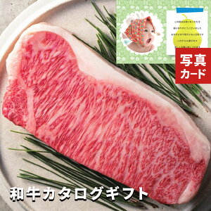 oYj a   J^O OJ^O Mtg W-AEO  j j oYj Ԃ jԂ  O j [JP](SD) jMtg oYԂ Pi  