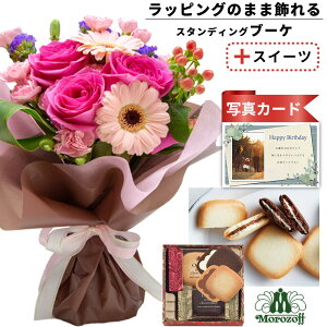 av[g ސEj o  ԑ sN  v`Mtg ]t OhV   َq XC[c Zbg o[Xf[ a v[g Mtg j (SE)  5000~ 5