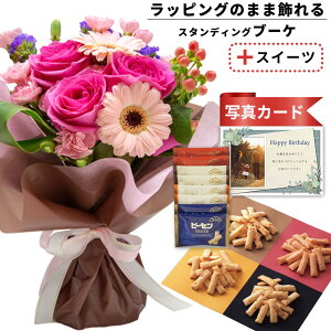 av[g ސEj o  ԑ sN  v`Mtg s[ibc ׂ   َq XC[c Zbg o[Xf[ a v[g Mtg j (SE)  6400~ 5