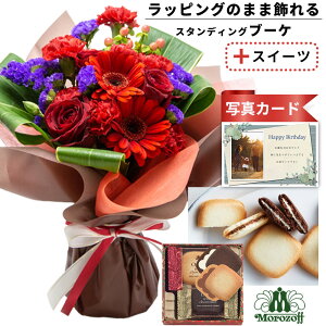 av[g ސEj o  ԑ bh  v`Mtg ]t OhV   َq XC[c Zbg o[Xf[ a v[g Mtg j (SE)  5000~ 5