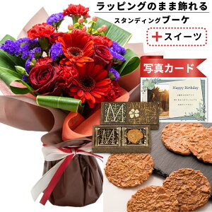 av[g o  ԑ bh  v`Mtg Ăَq A[h   َq XC[c Zbg o[Xf[ a v[g Mtg j   e 50 60 70 87 (SE