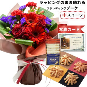 av[g ސEj o  ԑ bh  v`Mtg s[ibc ׂ   َq XC[c Zbg o[Xf[ a v[g Mtg j (SE)  6400~ 5