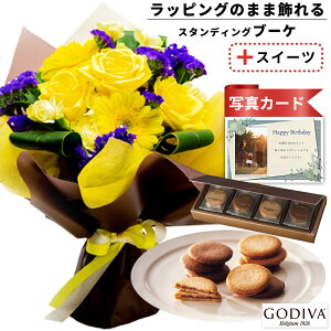 av[g o  ԑ CG[  v`Mtg ō uh `R NbL[ 8   َq XC[c Zbg o[Xf[ a v[g Mtg j (SE)  60