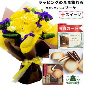 av[g ސEj o  ԑ CG[  v`Mtg ]t OhV   َq XC[c Zbg o[Xf[ a v[g Mtg j (SE)  5000~ 