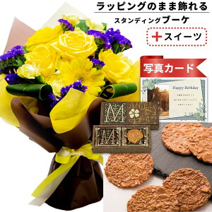 av[g o  ԑ CG[  v`Mtg Ăَq A[h   َq XC[c Zbg o[Xf[ a v[g Mtg j   e 50 60 70 159