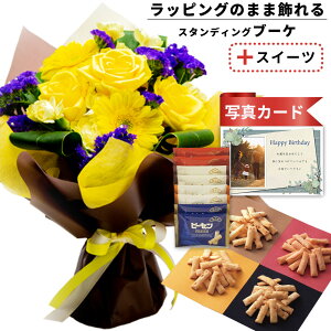 av[g o  ԑ CG[  v`Mtg s[ibc ׂ   َq XC[c Zbg o[Xf[ a v[g Mtg j (SE)  6400~ 5~ җ