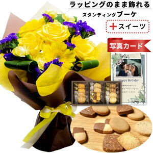 av[g o  ԑ CG[  v`Mtg NbL[ l 6   َq XC[c Zbg o[Xf[ a v[g Mtg j   e (SE)  5000~