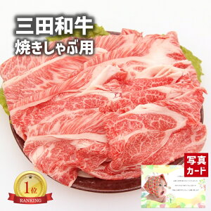 y10%OFF_X[p[Z[^z oYj Mtg Oc a Ăԗp [X400g   Y a 蕨   lC oY j  j Ԃ e   ꖜ~ 