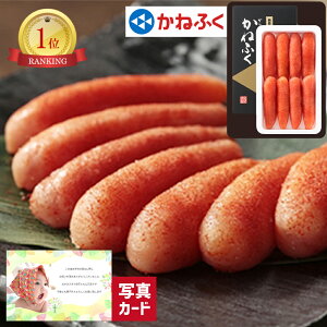 oYj Mtg ˂ӂ F 炵q oY j  Ԃ O CN Hו lC (SK)y O  ސE a 蕨 j  YO  1 6000