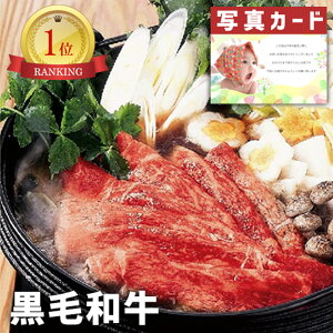 Ε  ~Mtg  oYj j Mtg Y јa ₫ A ʐ^ J[h oY j  Ԃ O Y Y uh lC (SK)y jMtg  