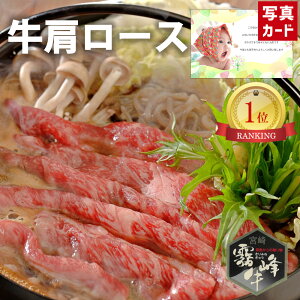 Ε ~Mtg oYj Mtg  [X Ă p i400gj a   蕨   lC oY j  j Ԃ e   5000~ gift present (SK)y  