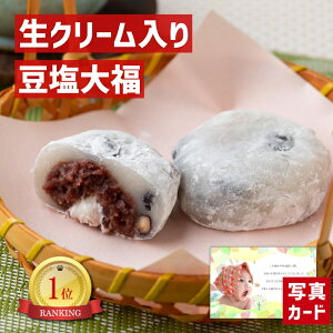 y10%OFF_X[p[Z[^z oYj Mtg R N[  啟 10 َq aَq 蕨   lC oY j  j Ԃ e   3000~ present (SK