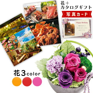 _1|Cg10{^ J^OMtg  vU[uht[ a  a AW sN v[g j ސEj j lC e 60  gift B-AEO (DB)   2