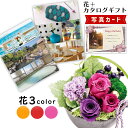 母の日 2026 花 プリザーブドフラワー 和風 アレンジ ピンク カタログギフト 8000円 ギフト セット プレゼント お祝い 退職祝い 結婚祝い 母親 誕生日プレゼント 上司 両親 写真入り 即日発送 新築祝い ギフトセット 送料無料 送別 入学 B-BO 1dy (DB) [花セ]
