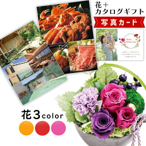 花 カタログギフト プリザーブドフラワーの人気商品 通販 価格比較 価格 Com