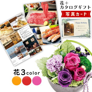 J^OMtg   vU[uht[ a AW sN ʐ^胁bZ[WJ[h v[g  v[g e ސEj Ê j J^O P-GA (DB) 60 ԂƃJ^OM
