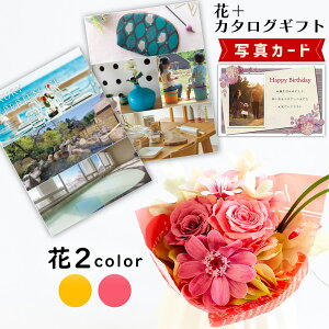 u[P sN IW J^OMtg B-BO vU[uht[ v[g j j av[g (DB) 60 [b2] N ސEj JXj  ͂Ȃ 蕨 e 