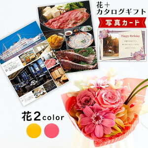 u[P sN IW J^OMtg P-PL vU[uht[ v[g j j av[g e (DB) 60 [b2] ސEj JXj  ͂Ȃ 蕨  e  2