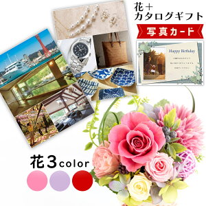  3F J^OMtg B-BE vU[uht[ v[g j j av[g (DB) 60 [b2] Vzj N ސEj JXj  ͂Ȃ 蕨 e  