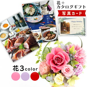  3F J^OMtg G-CO vU[uht[ v[g j j av[g (DB) 60 [b2] Vzj N ސEj JXj  ͂Ȃ 蕨 e  