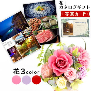  3F J^OMtg P-CA vU[uht[ v[g j j av[g (DB) 60 [b2] Vzj N ސEj JXj  ͂Ȃ 蕨 e FB 