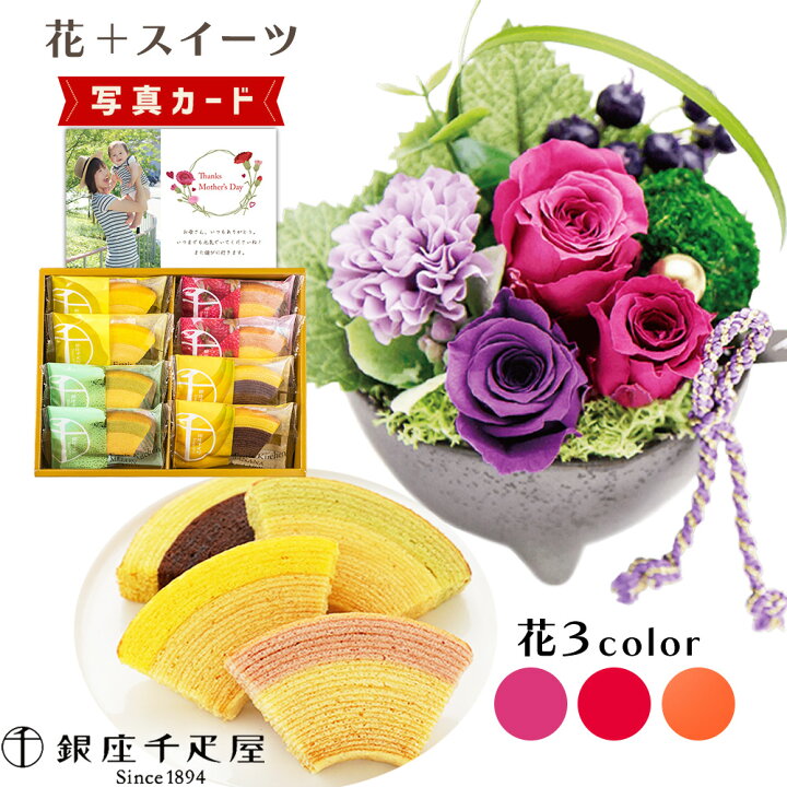 楽天市場 あす楽 和風 苔毬 3色 千疋屋 バウム 洋菓子 プリザーブドフラワー プレゼント お祝い 結婚祝い 誕生日プレゼント Db B2 新築祝い 定年 退職祝い 開店祝い お見舞い 枯れない花 贈り物 母 女友達 フラワーギフト おしゃれ 花 6000円 母の日ギフト
