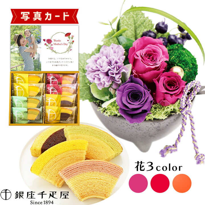 楽天市場 和風 苔毬 3色 千疋屋 バウム 洋菓子 プリザーブドフラワー プレゼント お祝い 結婚祝い 誕生日プレゼント Db B2 新築祝い 定年 退職祝い 開店祝い お見舞い 枯れない花 贈り物 母 母親 女友達 フラワーギフト おしゃれ 花 6000円 ギフト 内祝いのアイ