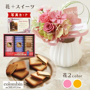 ԂƂَq u[P sN IW Ro `RTh NbL[ vU[uht[ v[g j j av[g e (DB) [b2] Vzj N ސEj JXj 