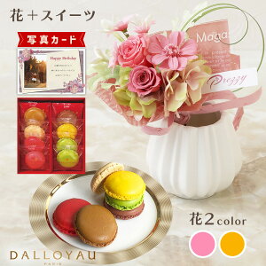 ԂƂَq u[P sN IW _C }J mَq vU[uht[ v[g j j av[g e (DB) [b2] Vzj N ސEj JXj 