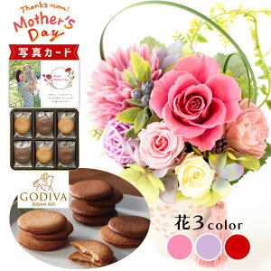 ԂƂَq  3F uh `R NbL[ vU[uht[ v[g j j av[g (DB) [b2] N ސEj JXj  ͂Ȃ e t[