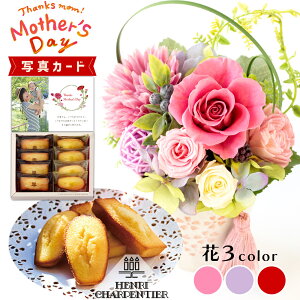  3F AVpeBG l vU[uht[ v[g j j av[g e (DB) [b2] N ސEj JXj  ͂Ȃ e t[Mt