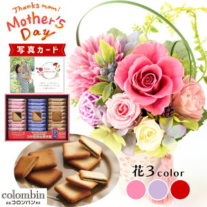 ԂƂَq  3F Ro `RTh NbL[ vU[uht[ v[g j j av[g e (DB) [b2] Vzj N ސEj JXj  ͂