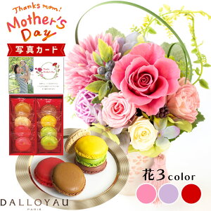 ԂƂَq  3F _C }J mَq vU[uht[ v[g j j av[g e (DB) [b2] Vzj N ސEj JXj  ͂Ȃ 