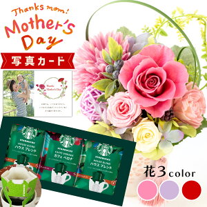 ԂƂَq  3F X^[obNX R[q[  vU[uht[ v[g j j av[g e (DB) [b2] Vzj N JXj  ͂Ȃ t[