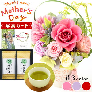 ԂƂَq  3F ōʒ \i  vU[uht[ v[g j j av[g e (DB) [b2] Vzj N ސEj JXj  ͂Ȃ 