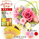 舞桜 3色 千疋屋 バウム バームクーヘン 洋菓子 プリザーブドフラワー プレゼント お祝い 結婚祝い 誕生日プレゼント (DB) [b2] 定年 退職祝い 開店祝い お見舞い 枯れない花 母親 フラワーギフト おしゃれ 花 8000円 即日発送 1dy 送料無料